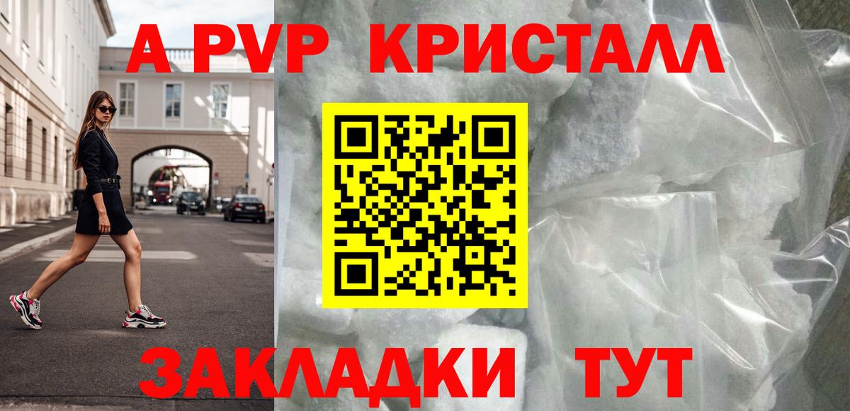 Alfa_PVP СК Новороссийск